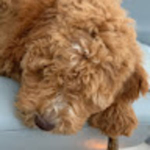 Meet your Posher, Aliya